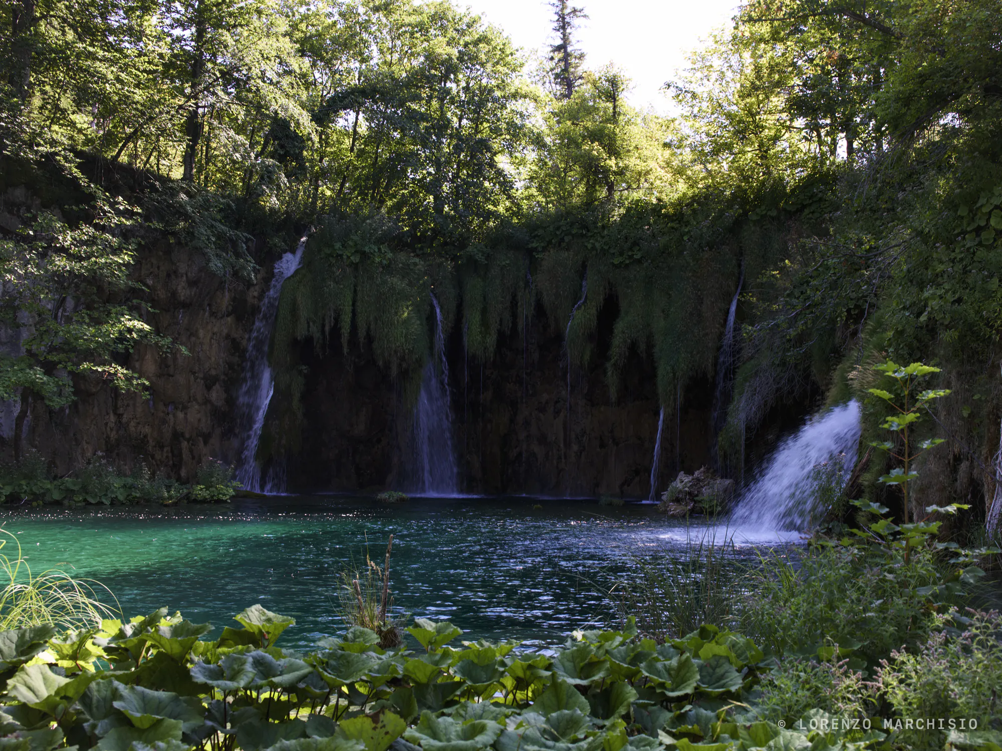 Plitvice waterfalls falling into a turquoise pool between green cliffs