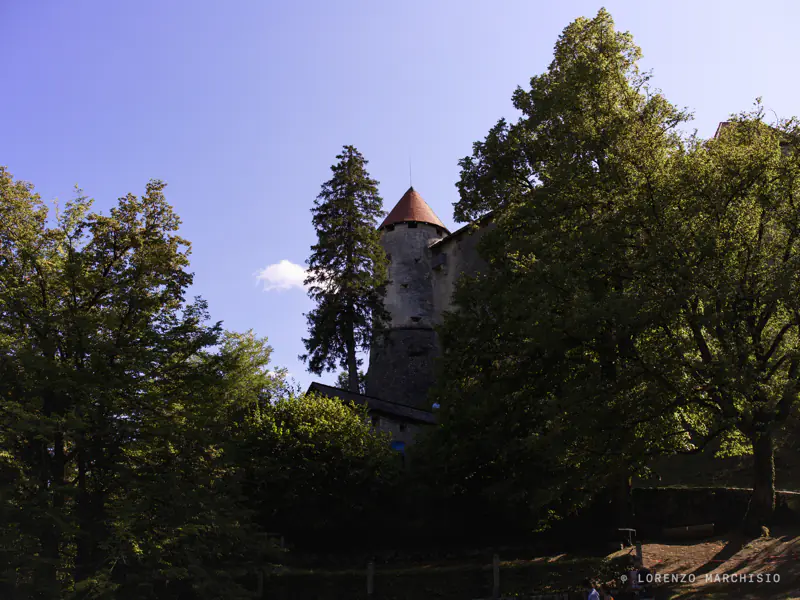 Photograph 009, slovenia bled